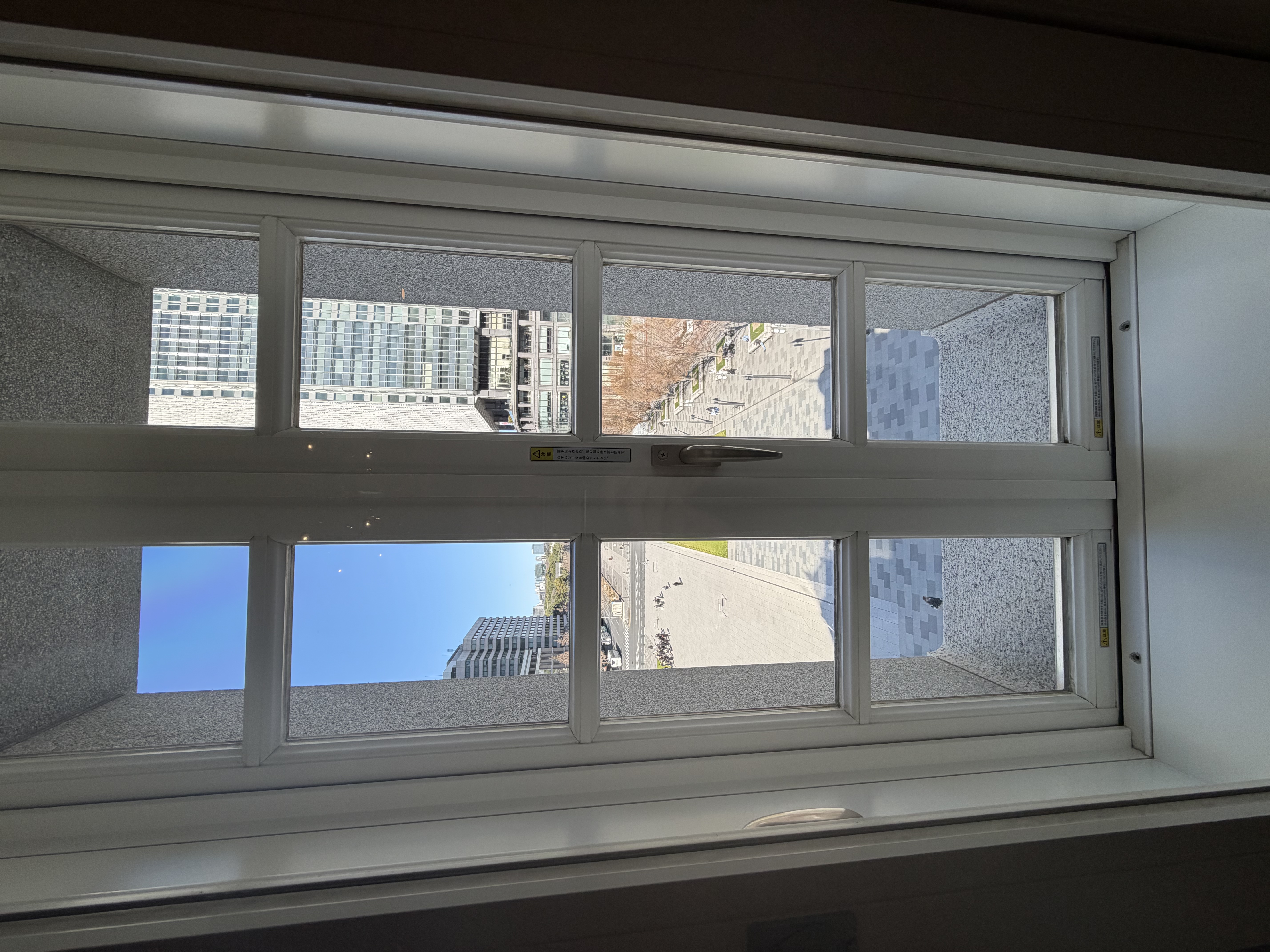 東京ステーションホテル 朝食 行幸通り 朝の光