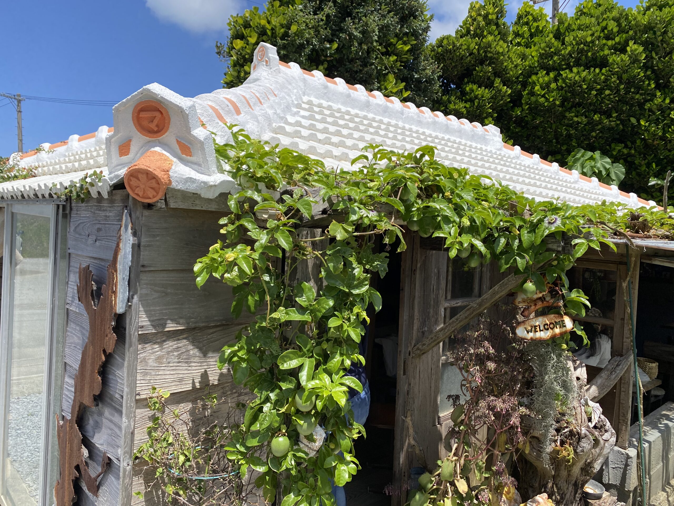 ヒルトン沖縄瀬底リゾート 瀬底ビーチ