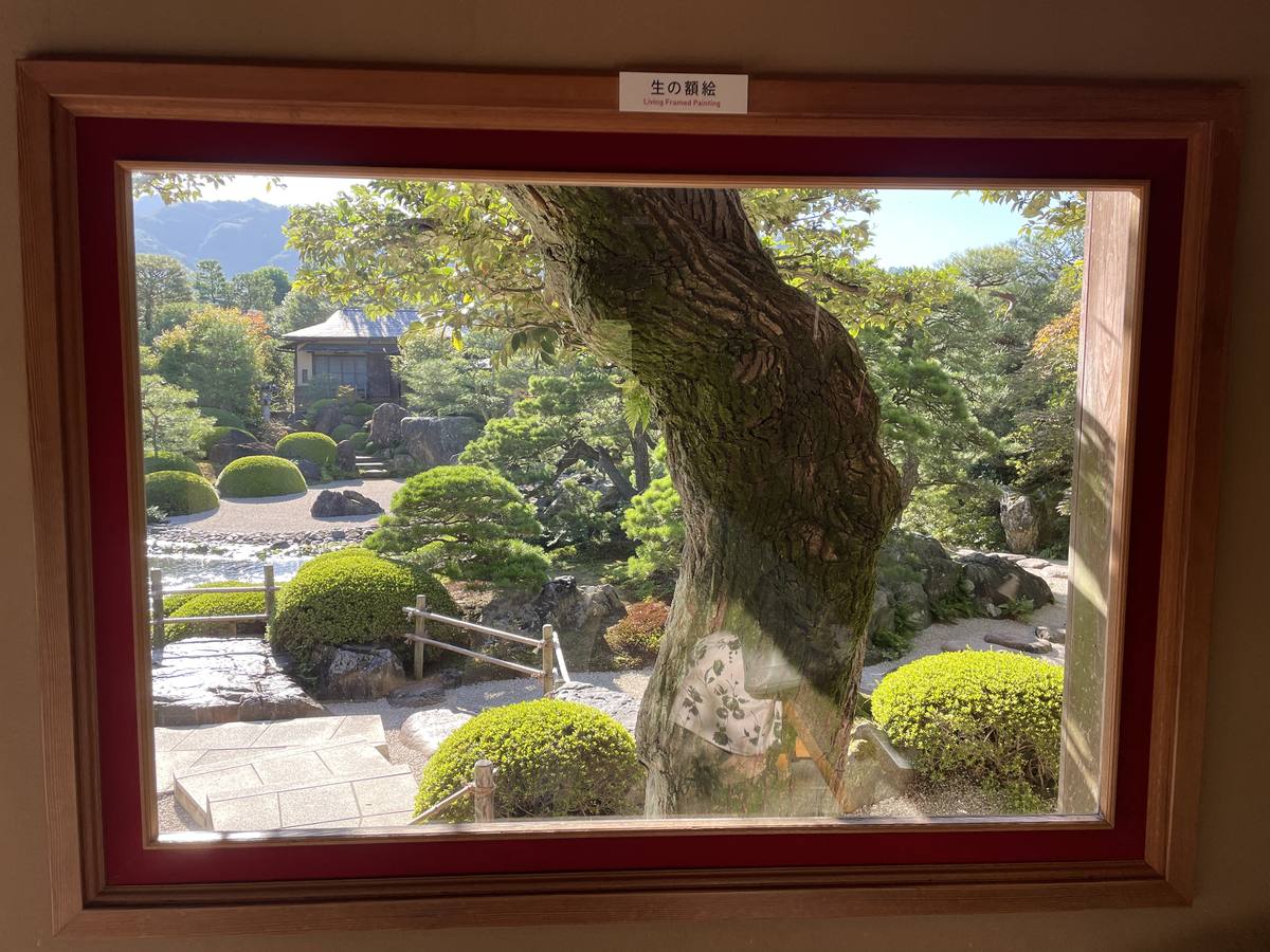 足立美術館の生の額絵。窓枠が額縁になり庭が絵になる