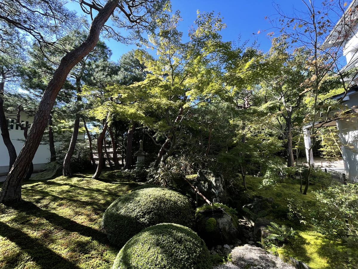 足立美術館の苔庭。苔の絨毯と松
