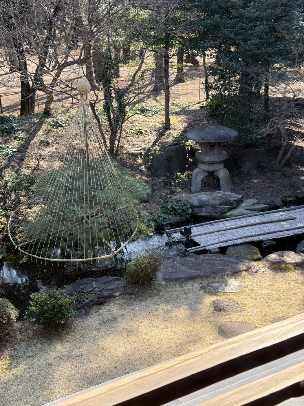 和館の窓から見た日本庭園。円錐形に縄を張った雪吊りと石灯籠、竹の橋、流れが見える